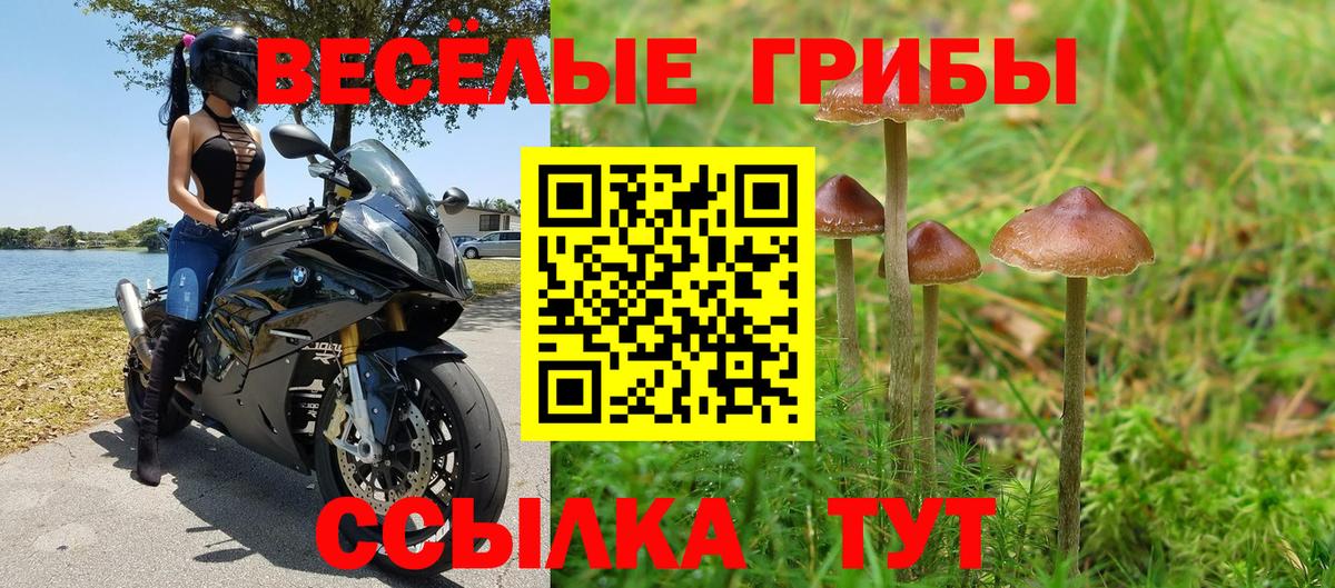 Псилоцибиновые грибы Cubensis  Псилоцибиновые грибы Magic Shrooms  Ахтубинск  Вход с VPN 