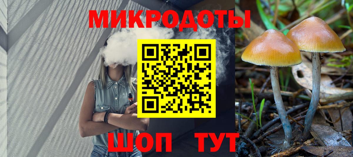 Галлюциногенные грибы Psilocybine cubensis Ахтубинск